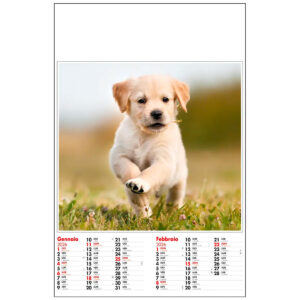 CALENDARIO CARTA BIMESTRALE CUCCIOLOTTI