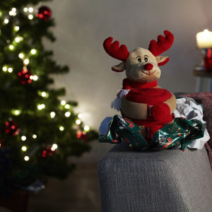 PELUCHE CON COPERTA IN PILE