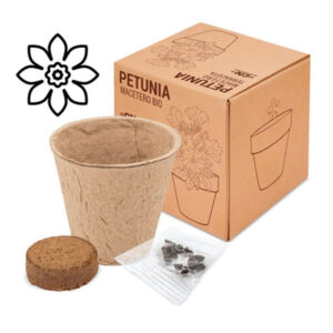 Vaso in cartone con semi