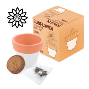 Vaso in terracotta con semi di girasole